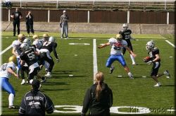Huskies 102